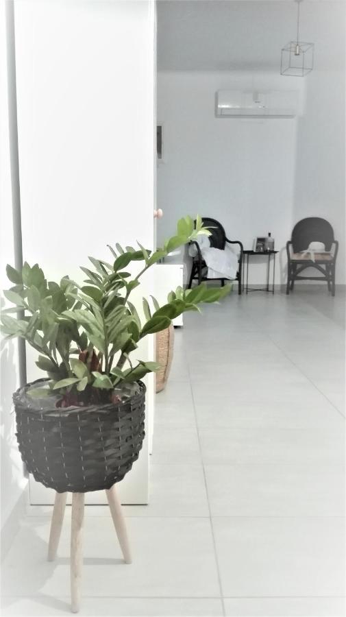 New Sea Escape Boutique Apt-Agii Aposto Li Beach 하니아 외부 사진