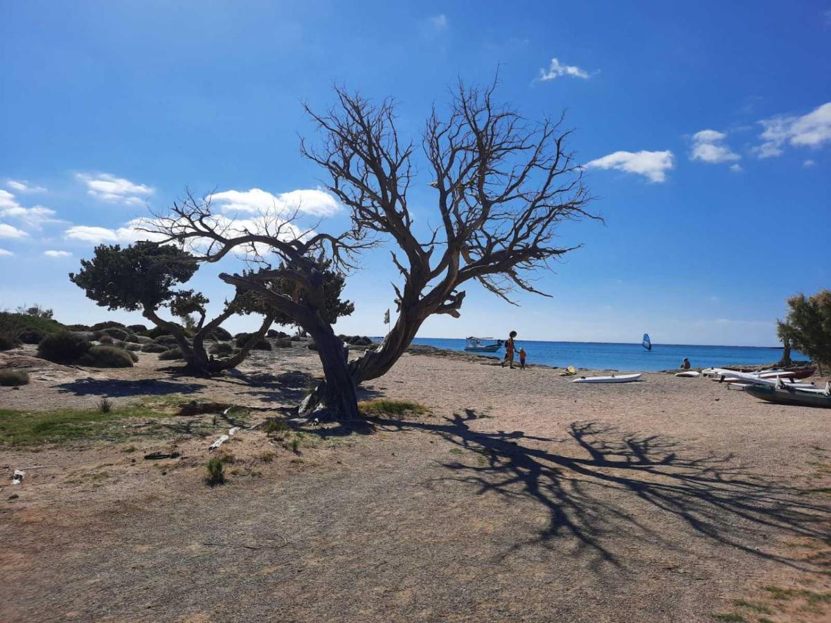 New Sea Escape Boutique Apt-Agii Aposto Li Beach 하니아 외부 사진