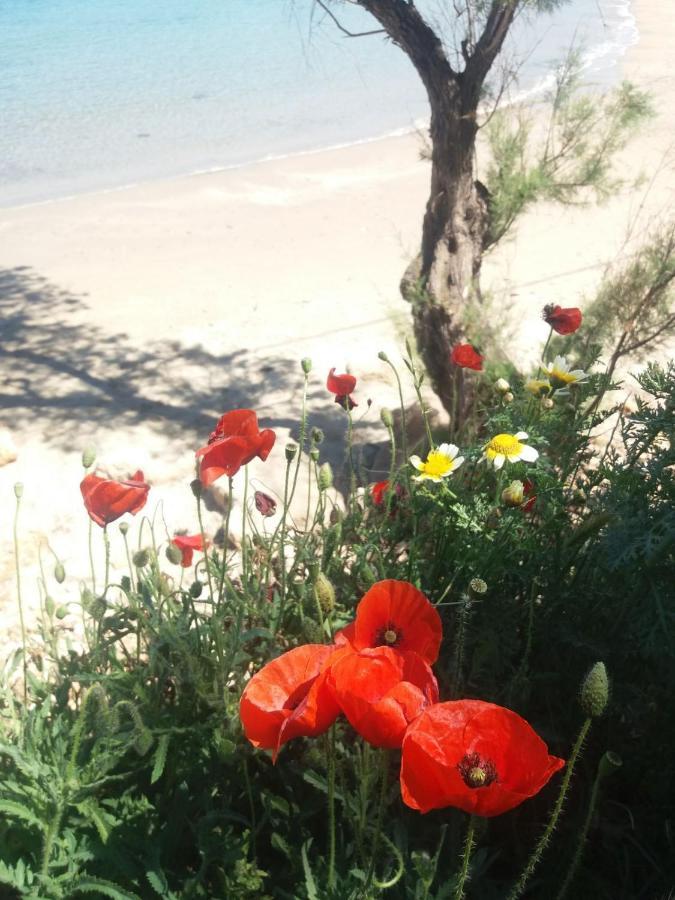 New Sea Escape Boutique Apt-Agii Aposto Li Beach 하니아 외부 사진